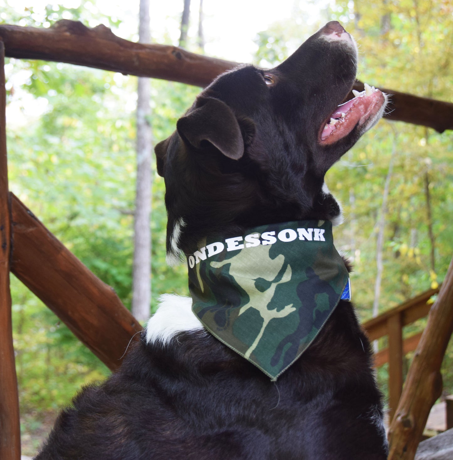Bandana